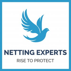 NETTING EXPERTS
